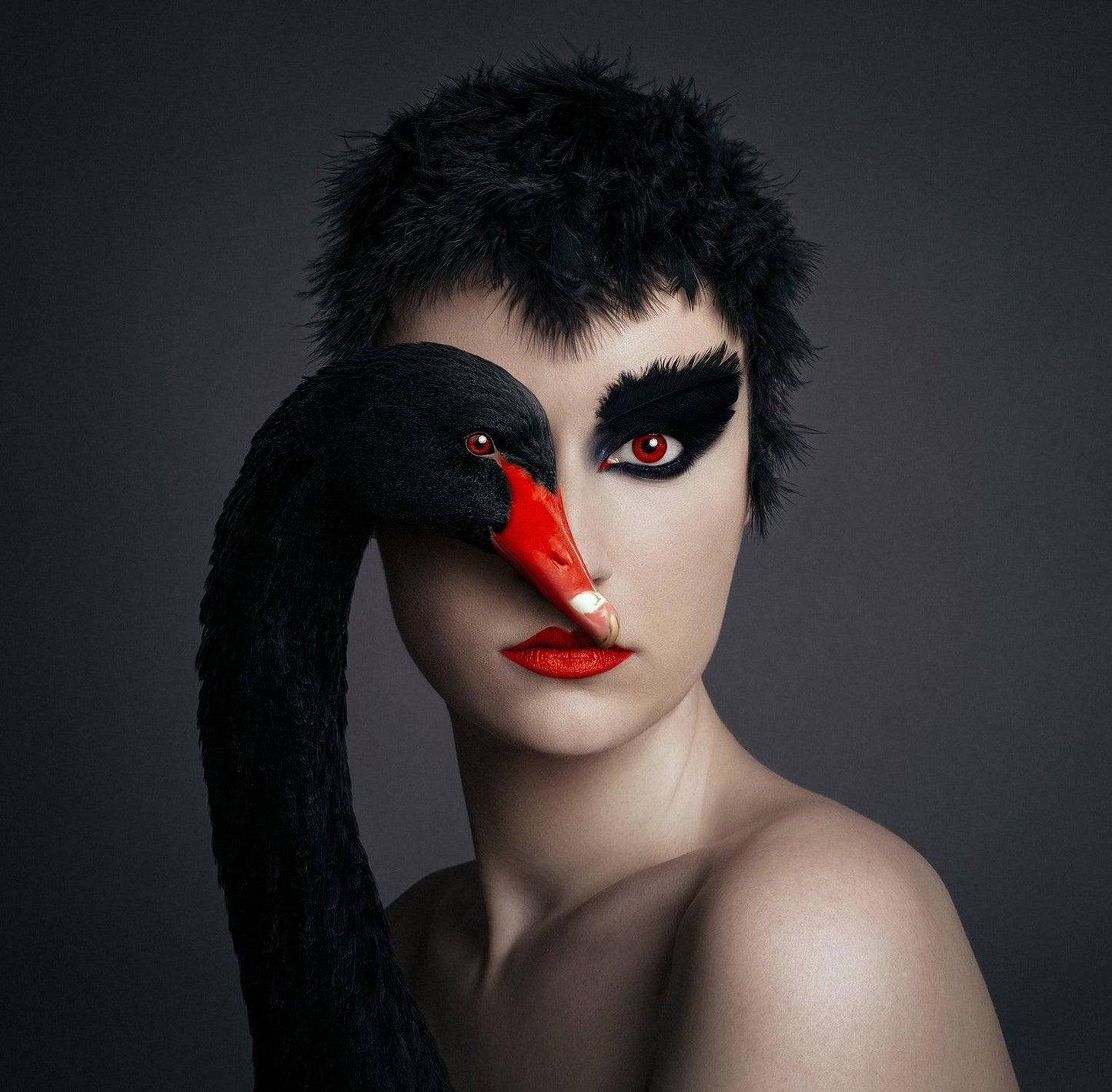 Animeyed, Black Swan, Limited Edition Print