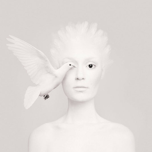 Animeyed, Dove, Limited Edition Print