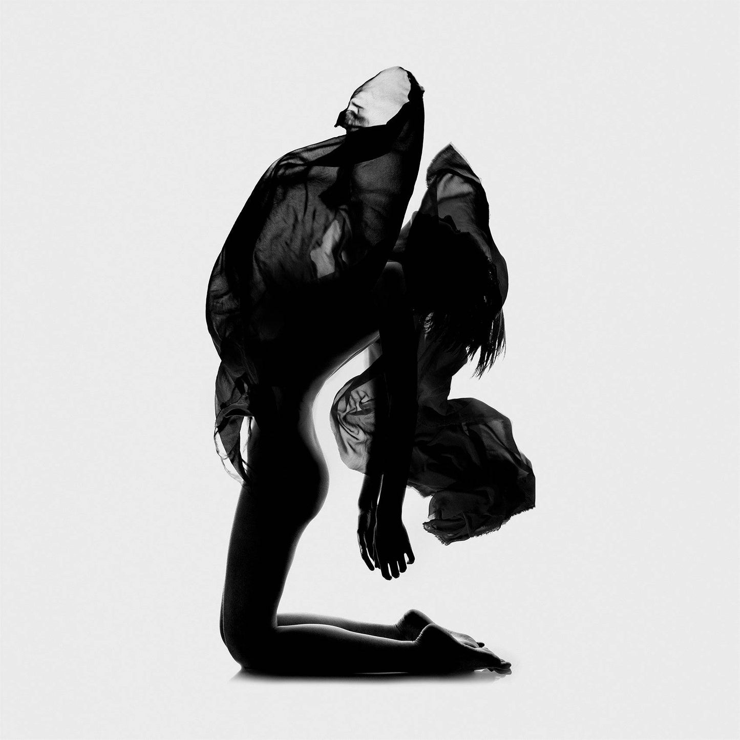 Des Monstres no. 2, Limited Edition Print
