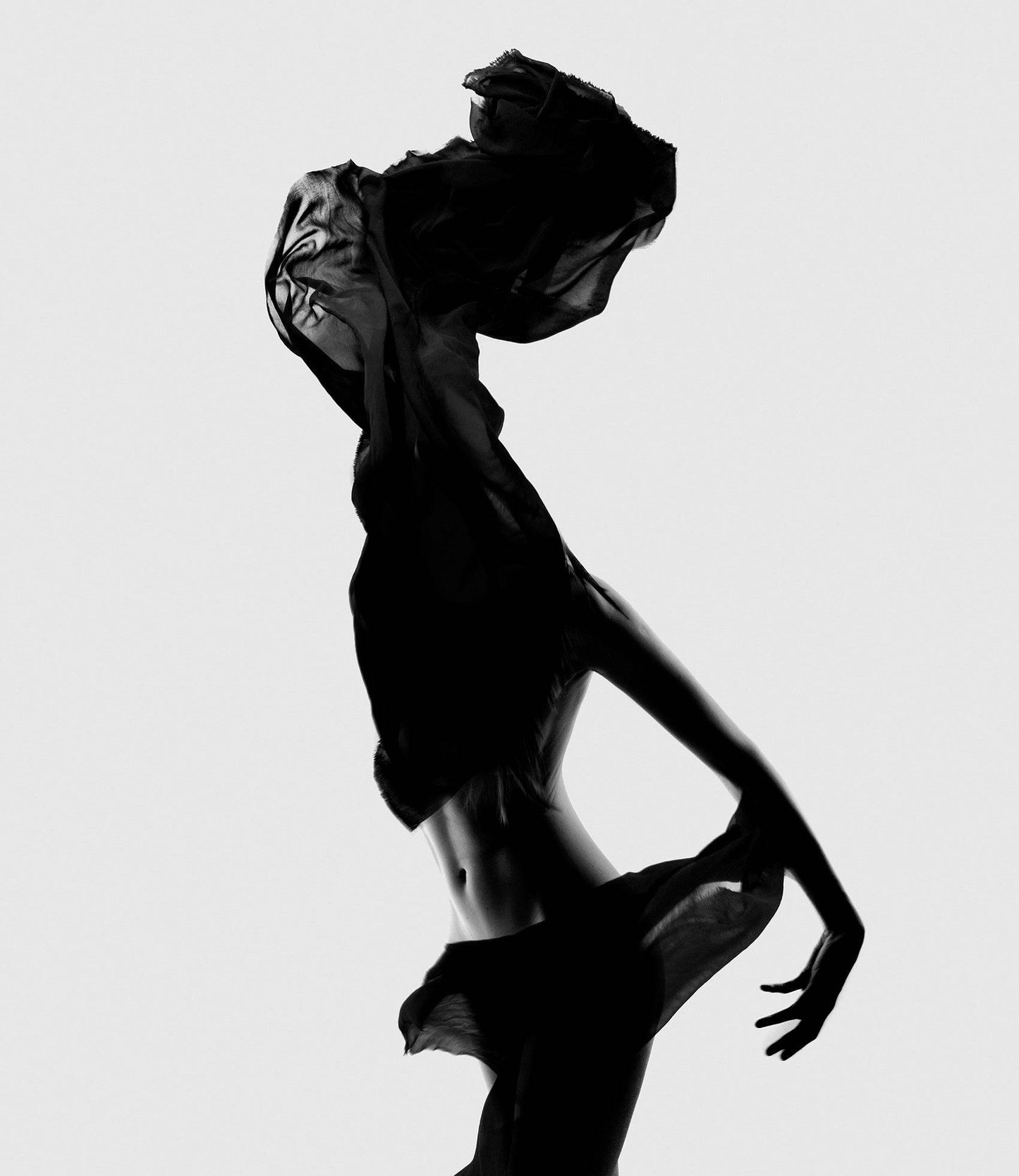 Des Monstres no. 5, Limited Edition Print