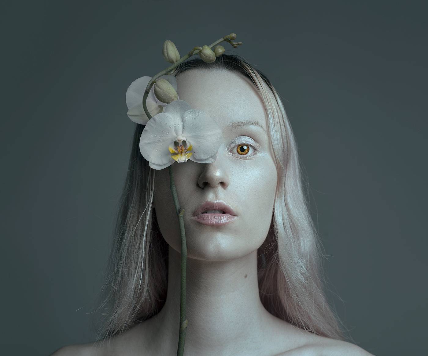 Orchidea Eye, Limited Edition Print